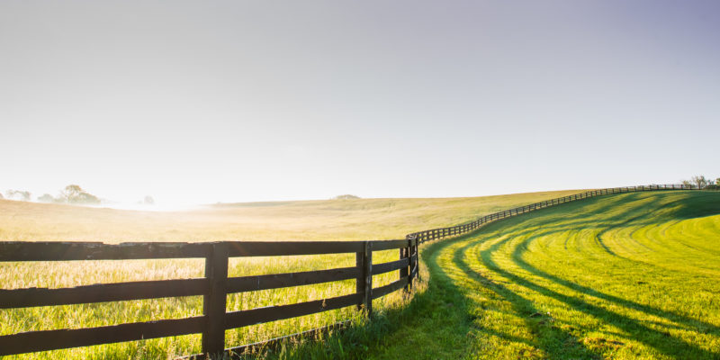 Horse Fence Snakes its Way Over the Hill in rural Kentucky